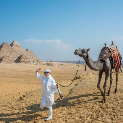 Le Caire : visite privée d'une demi-journée des pyramides en balade à dos de chameau ou en calèche