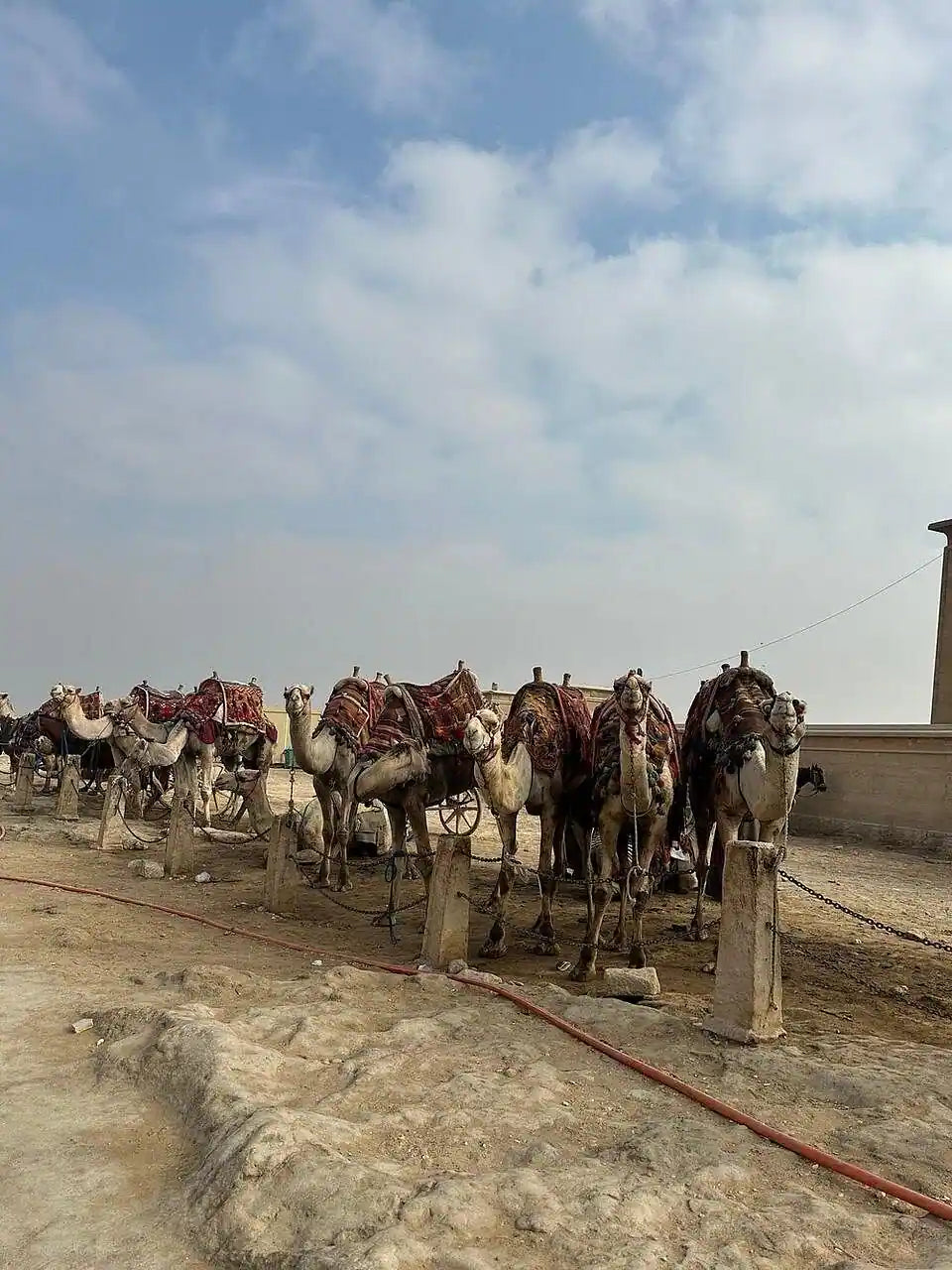 Kair: Prywatna wycieczka po piramidach w Gizie, Sakkarze i Memfis z przewodnikiem-egiptologiem