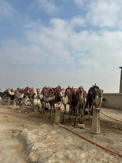 Kair: Prywatna wycieczka po piramidach w Gizie, Sakkarze i Memfis z przewodnikiem-egiptologiem