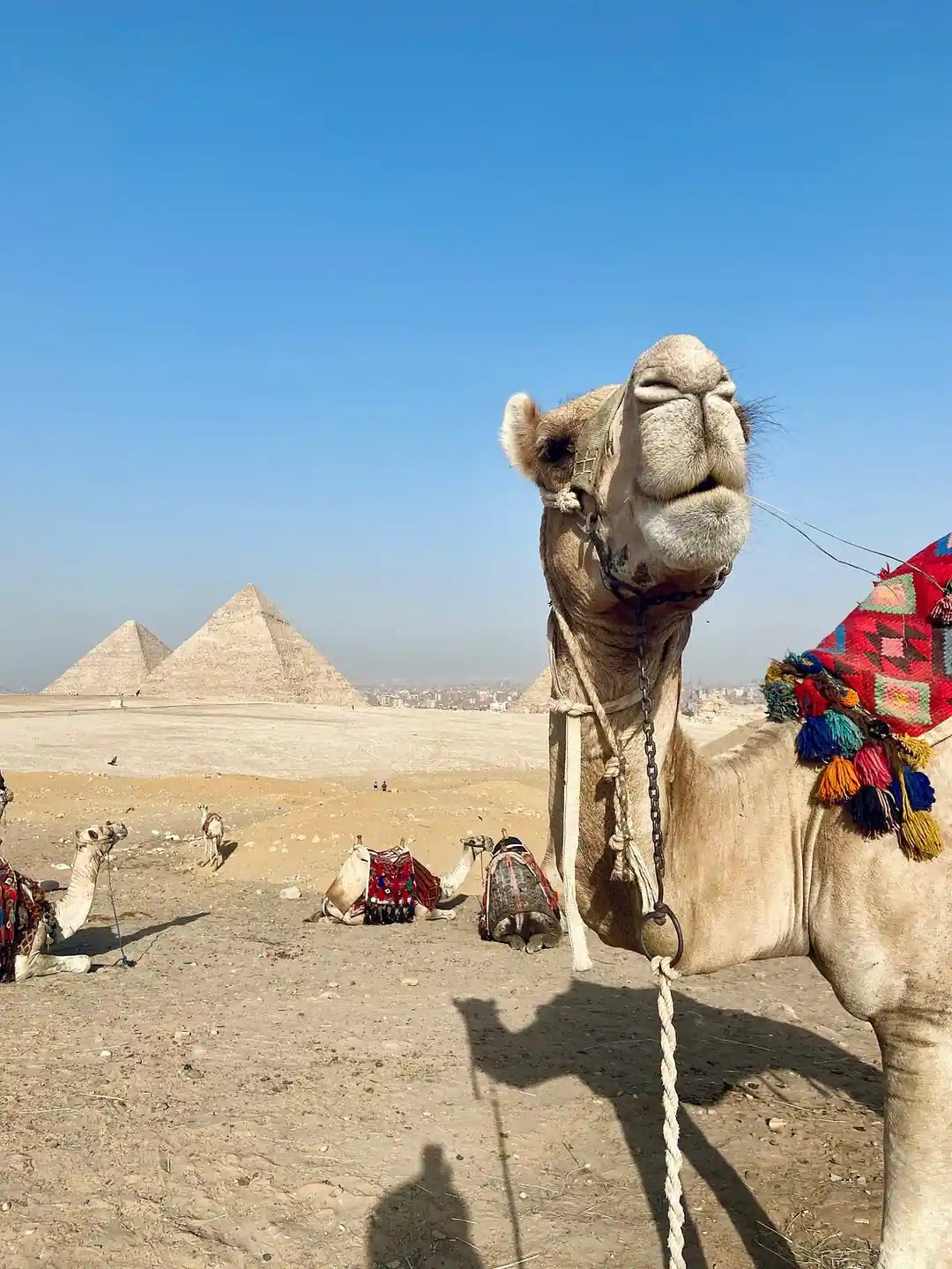 开罗：吉萨金字塔、狮身人面像、骑骆驼和午餐私人游