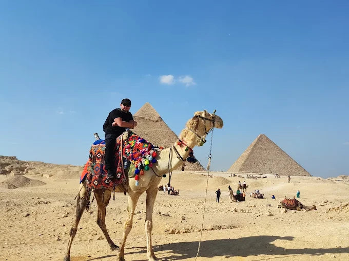 Cairo: Guided Tour to the Pyramids, Bazaar, and Salah El Deen Citadel
