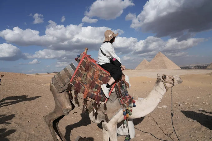 Cairo: Guided Tour to the Pyramids, Bazaar, and Salah El Deen Citadel