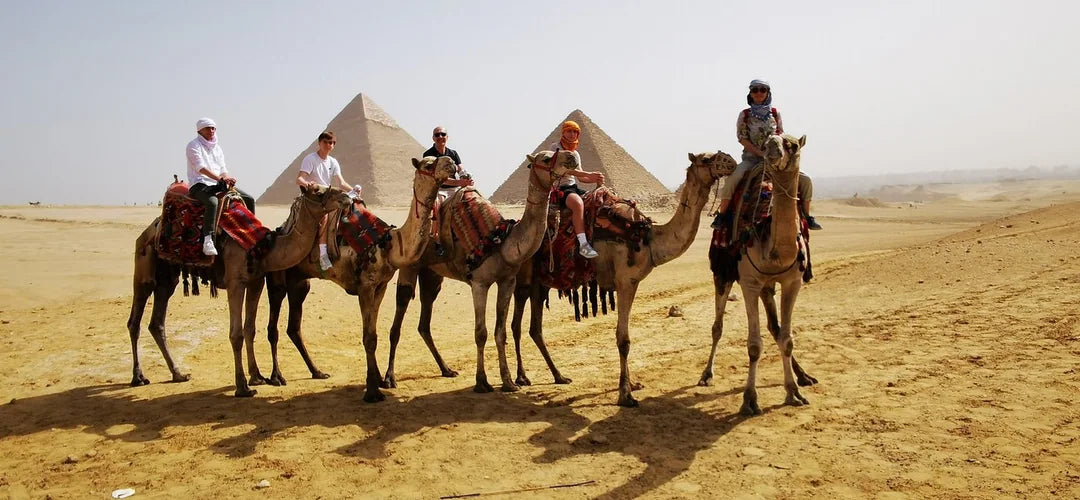 Cairo: Pyramids, Sphinx and Felucca Ride Private Tour for Layover