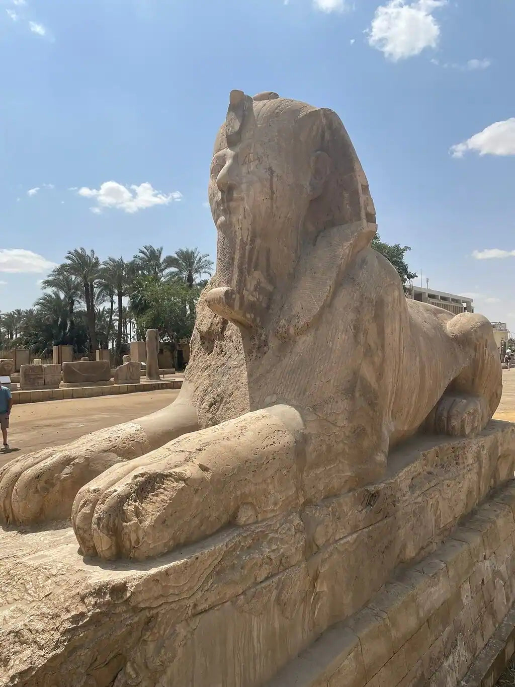 Каир: частный VIP-тур с гидом по Саккаре, Мемфису и Дашуру