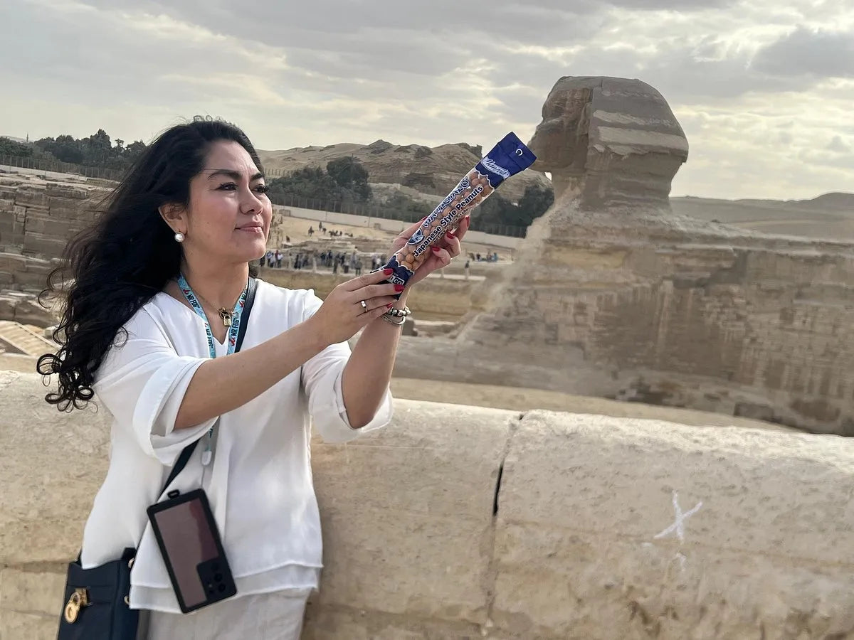 Il Cairo: Tour Privato Guidato di Mezza Giornata delle Piramidi di Giza e della Sfinge