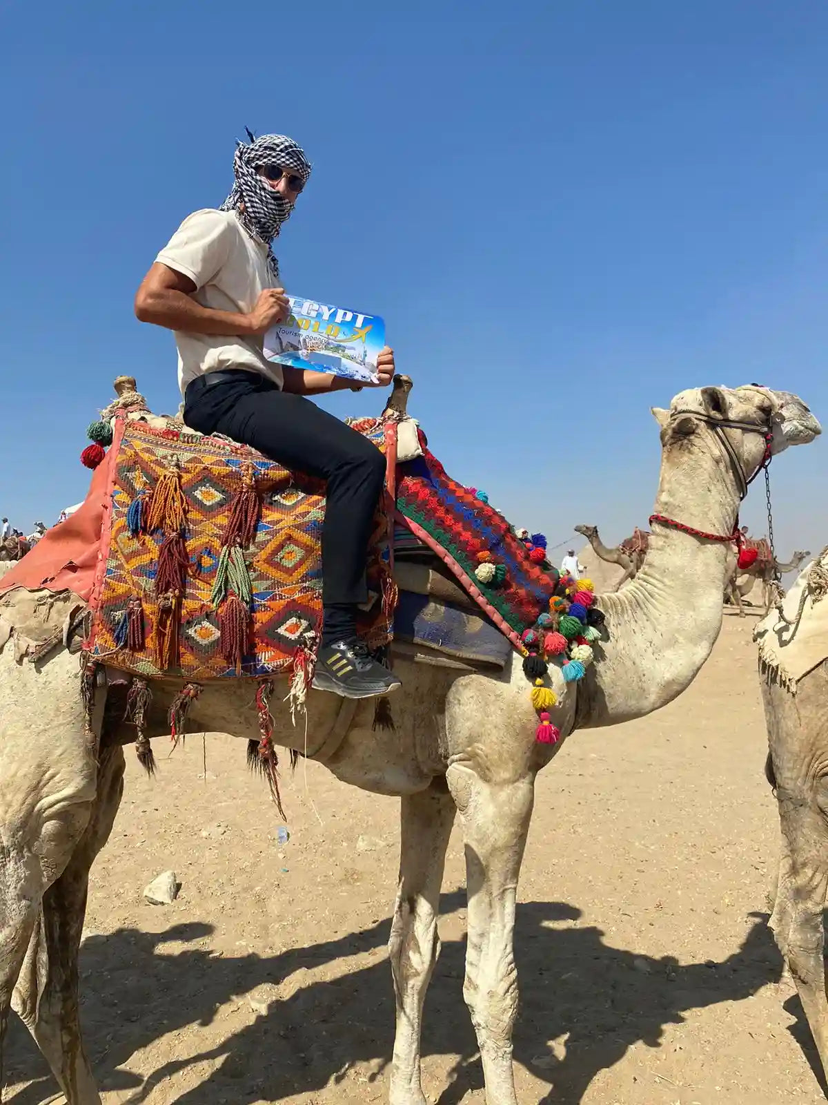 Il Cairo: Tour Privato Guidato di Mezza Giornata delle Piramidi di Giza e della Sfinge