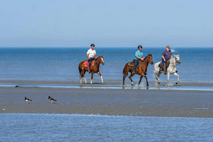 Casablanca: Ausritt am Strand und im Wald