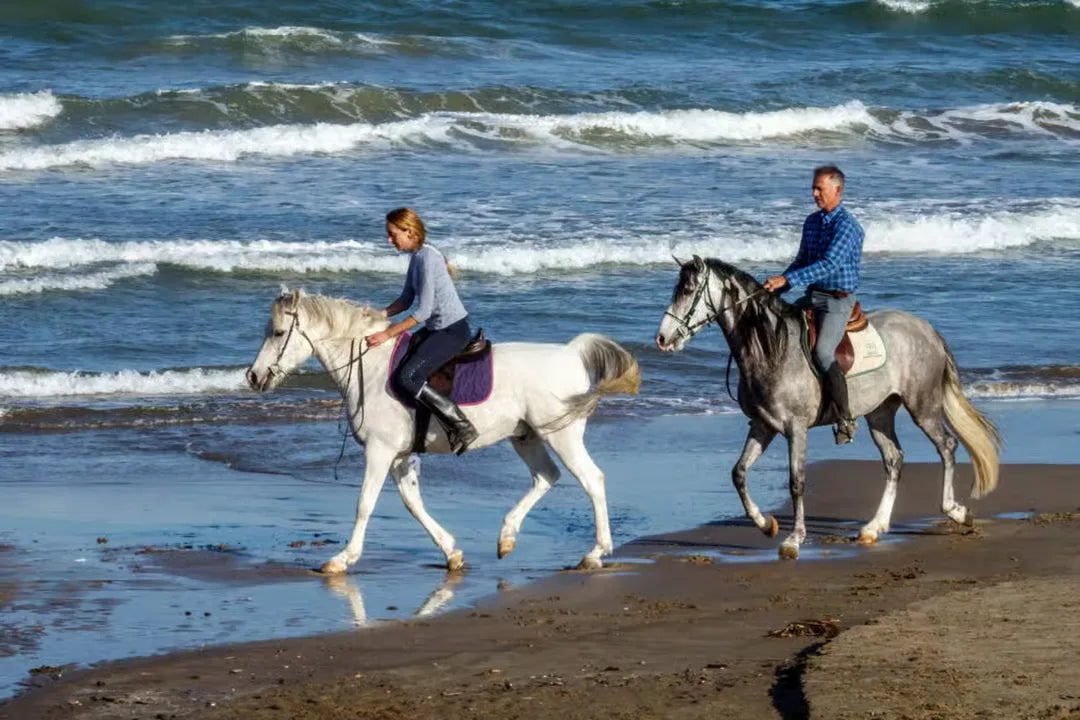 Casablanca: Ausritt am Strand und im Wald