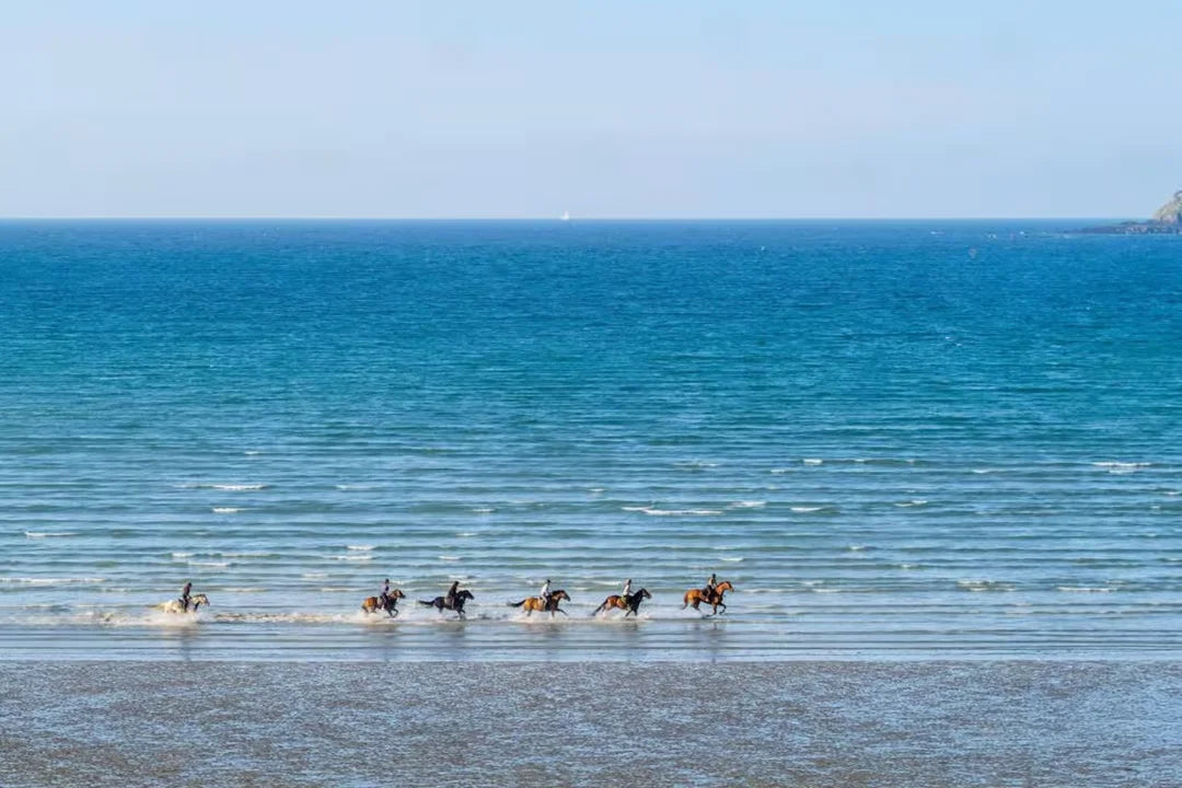 Casablanca: Ausritt am Strand und im Wald
