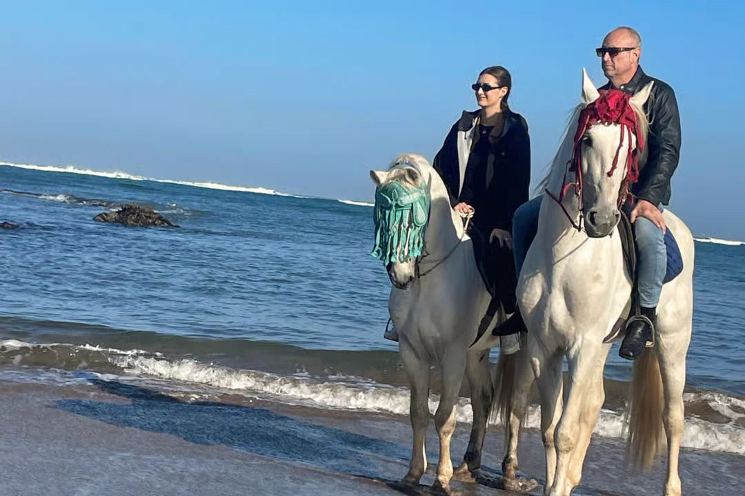 Casablanca: Ausritt am Strand und im Wald