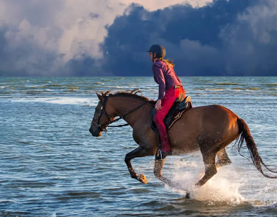 Casablanca: Ausritt am Strand und im Wald