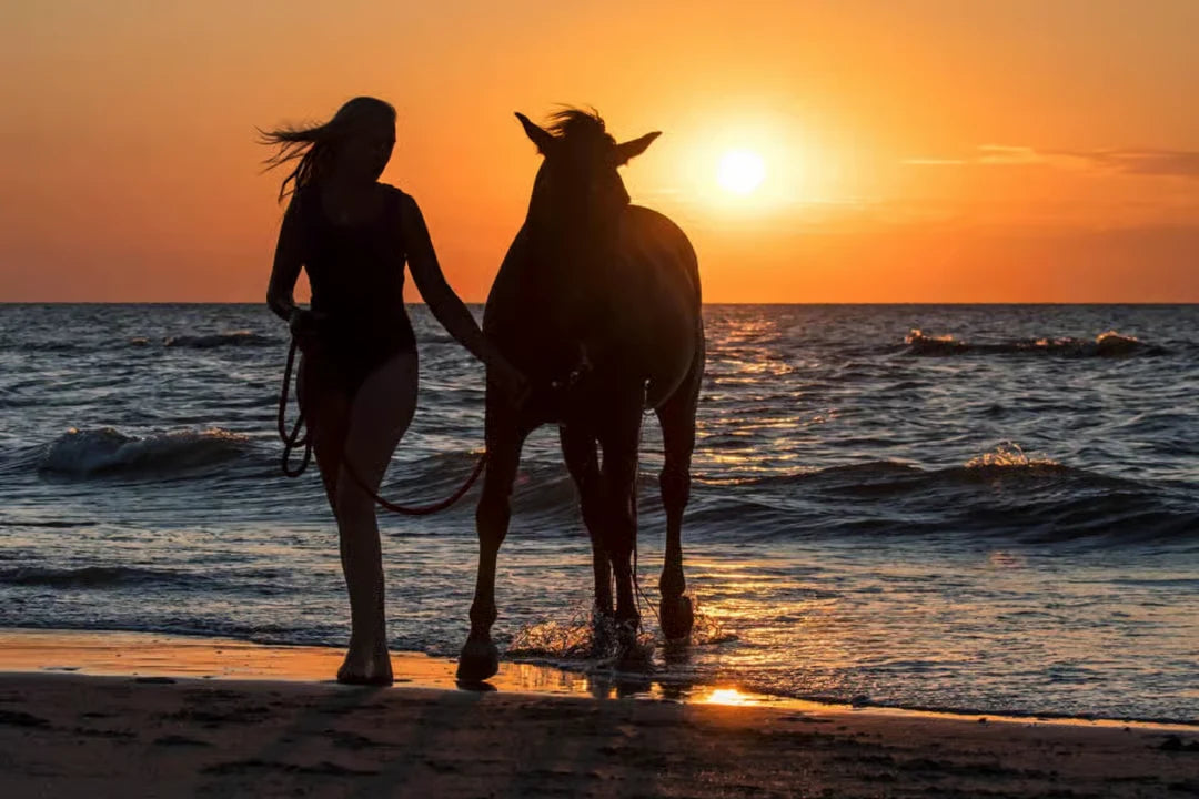 Casablanca: Ausritt am Strand und im Wald