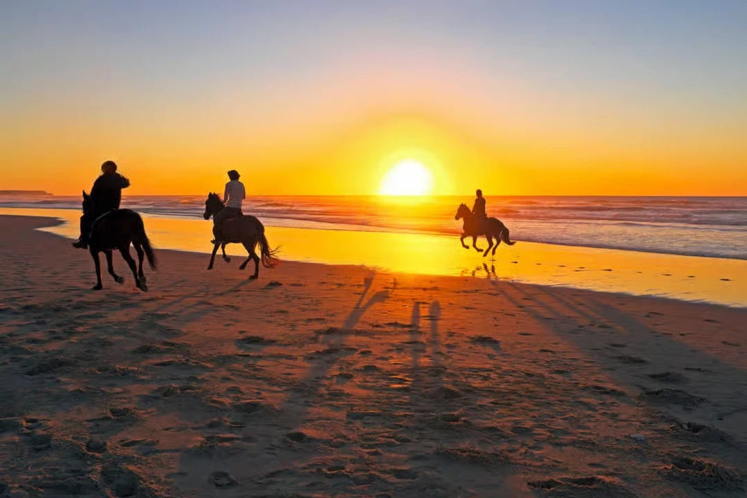 Casablanca: Ausritt am Strand und im Wald