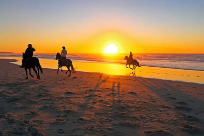 Casablanca: Ausritt am Strand und im Wald