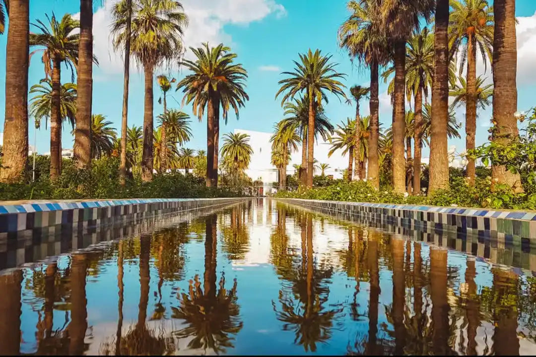 Casablanca: City Tour and Hassan II Mosque Entry
