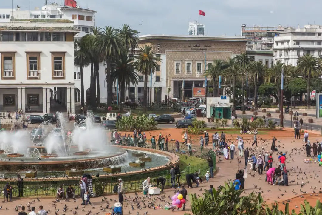 Casablanca: City Tour and Hassan II Mosque Entry