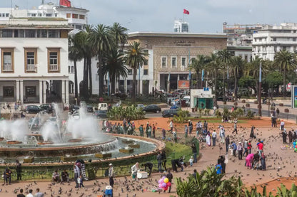 Casablanca: City Tour and Hassan II Mosque Entry