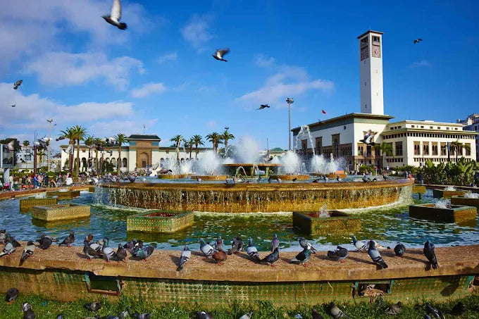 Casablanca: Historical City Tour with Hotel Pickup