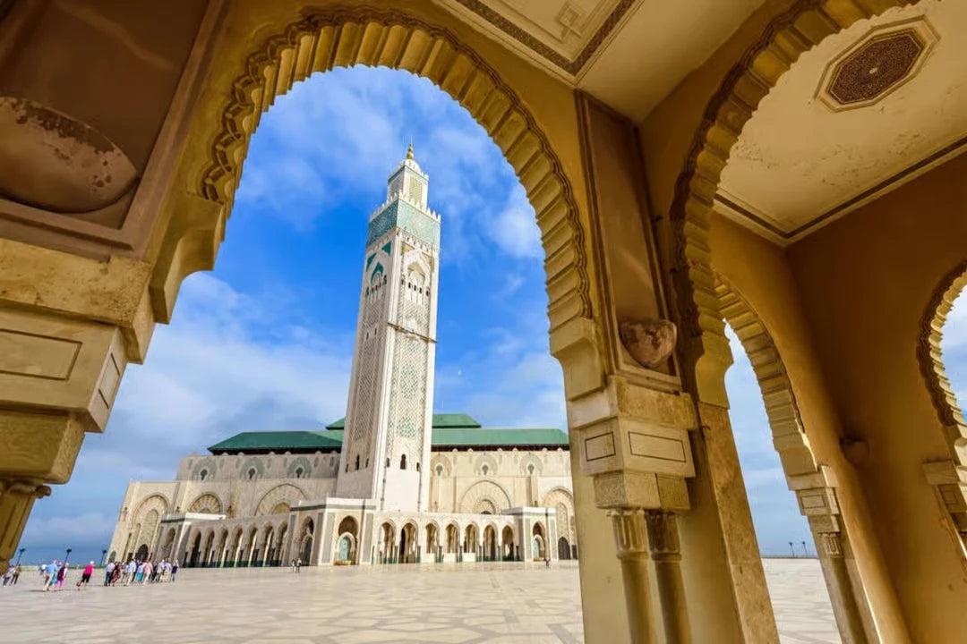 Casablanca: Private City Tour with Airport Transfer for Layovers