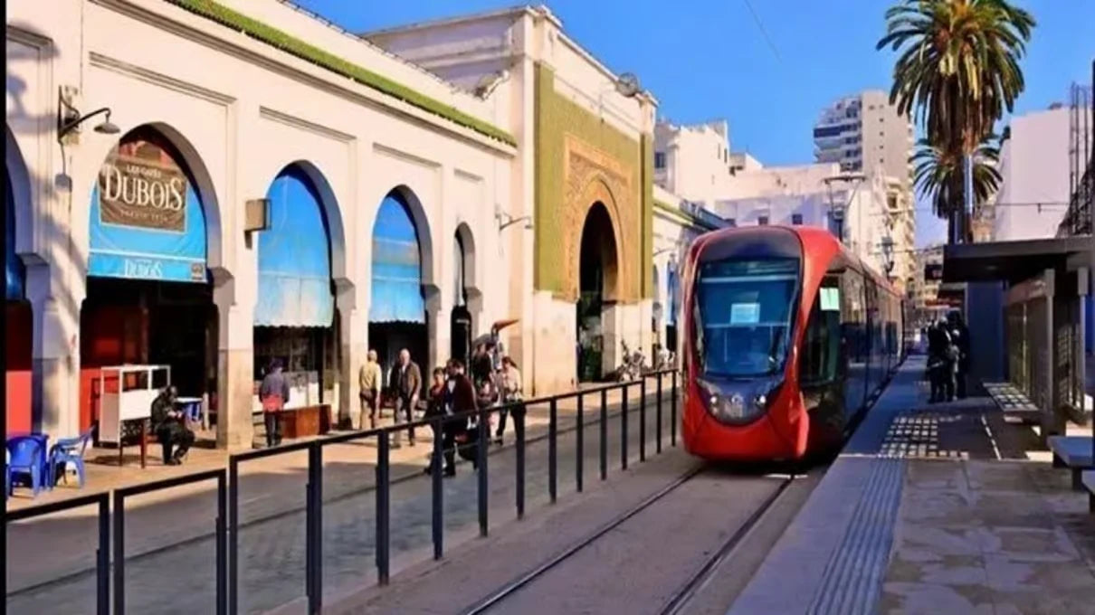 Casablanca: Private City Tour with Airport Transfer for Layovers