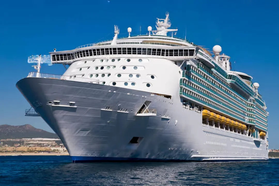 Casablanca: City Highlights and Hassan II Mosque Tour From Cruise Terminal