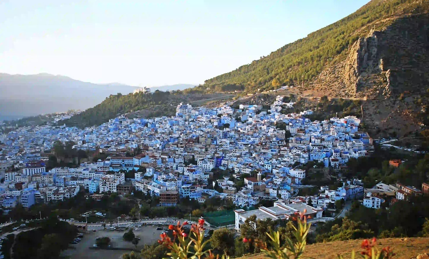From Tangeri: i punti salienti di Tangeri e tour privato della città di Chefchaouen
