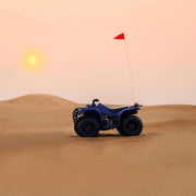 Dubai: Yamaha Grizzly 350cc Quad Bike Tour