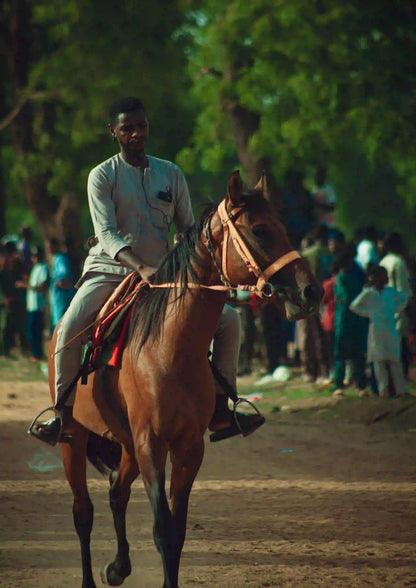 Dar es Salaam : excursion privée d’une journée au zoo et balade à cheval