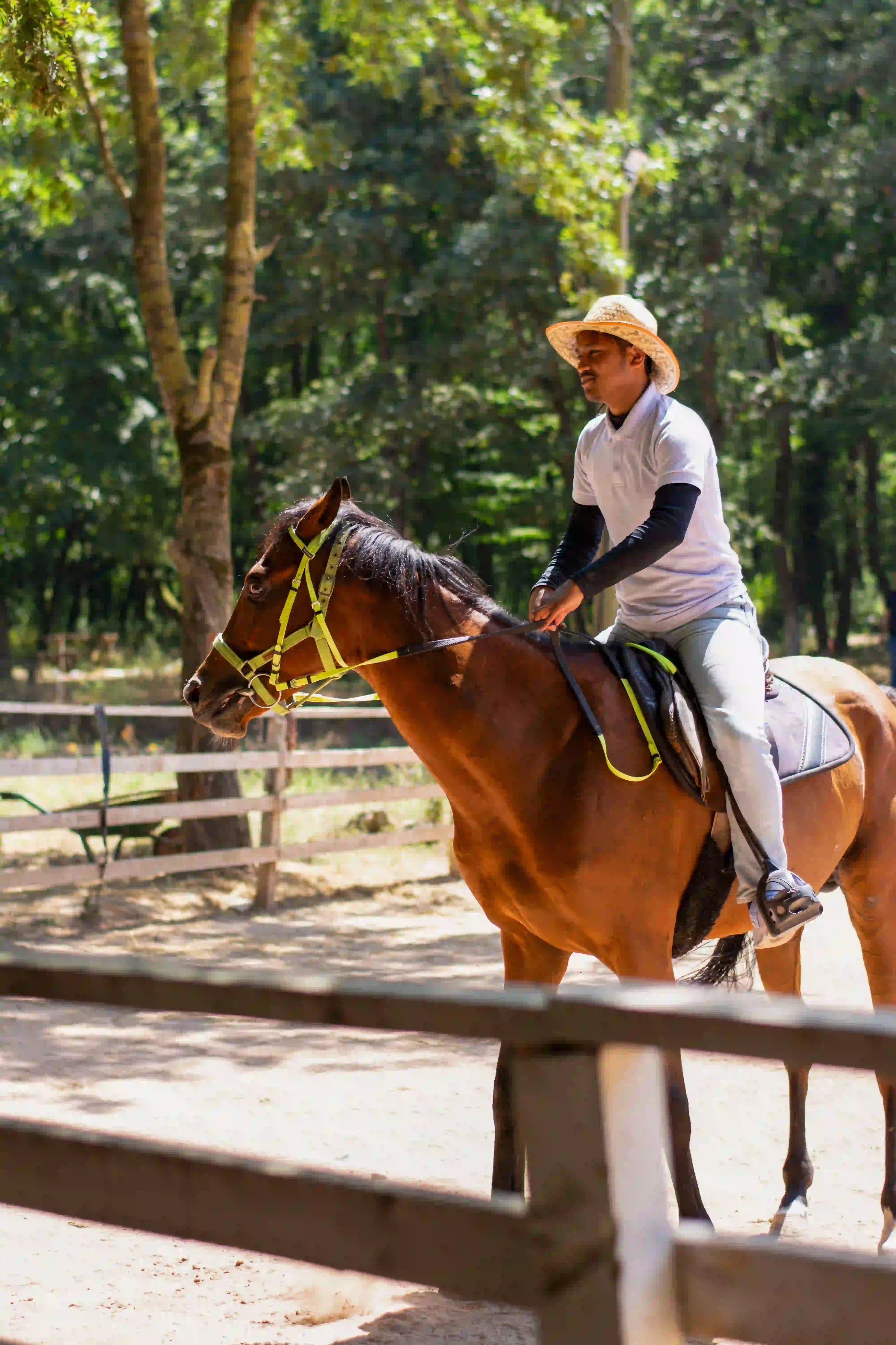Commencer l’expérience d’équitation