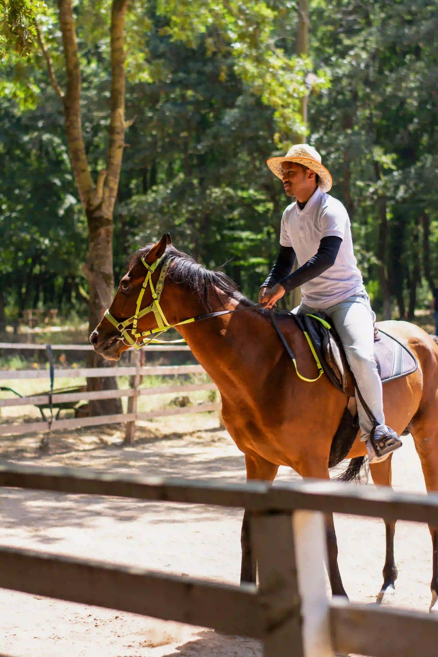 Dar es Salaam : excursion privée d’une journée au zoo et balade à cheval