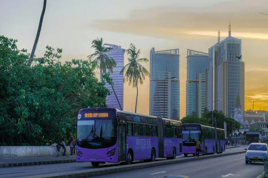 Dar es Salaam: Geteilte Tour zu den Highlights der Stadt mit lokalem Guide