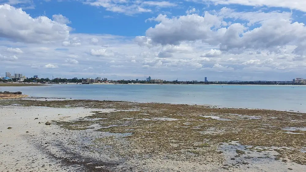 达累斯萨拉姆：当地导游带领的城市亮点拼团游