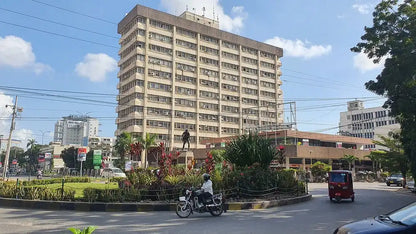 达累斯萨拉姆：当地导游带领的城市亮点拼团游