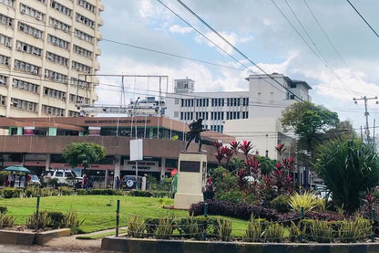 ダルエスサラーム：昼食付き終日プライベート市内観光ツアー