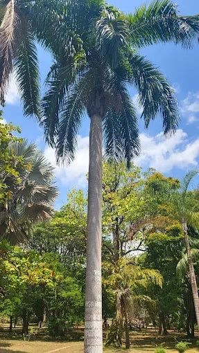 达累斯萨拉姆：城市亮点导览游