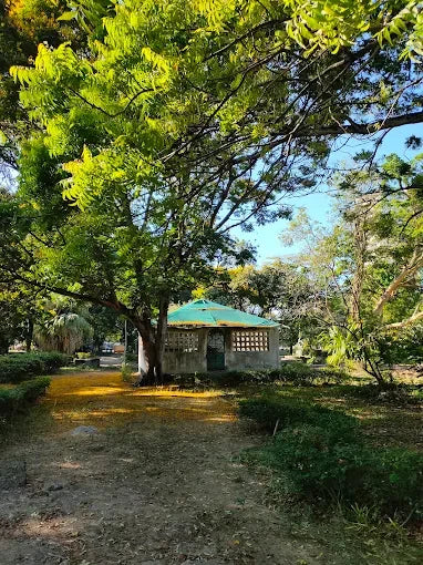 达累斯萨拉姆：城市亮点导览游