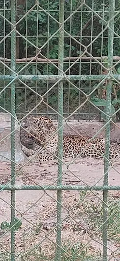 Dar es Salaam : excursion privée d’une journée au zoo et balade à cheval