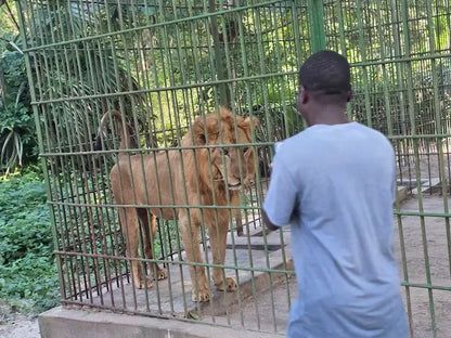 Dar es Salaam : excursion privée d’une journée au zoo et balade à cheval