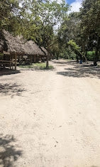 Dar es Salaam : excursion privée d’une journée au zoo et balade à cheval