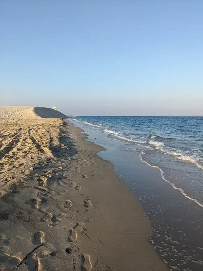 Doha: 4x4 Full-Day Private Desert Safari, Camel Ride, Quad Bike and BBQ Dinner Trip