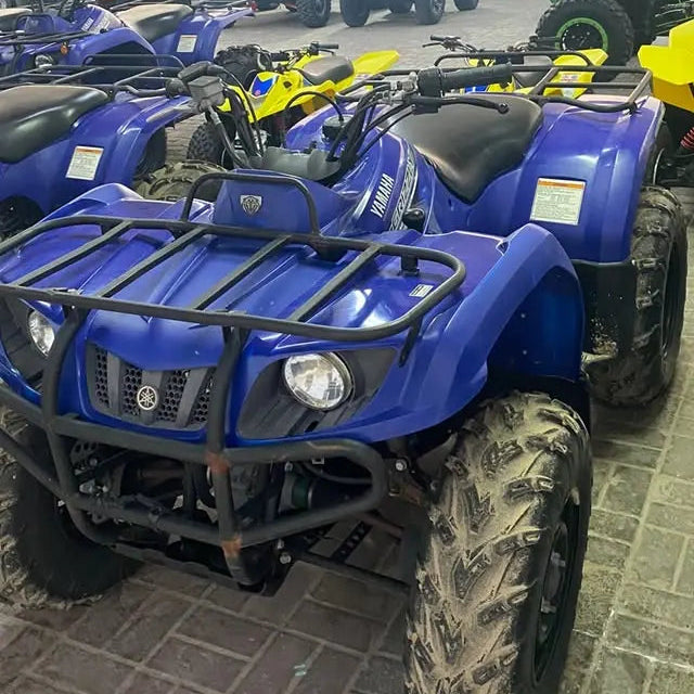 Doha: 4x4 Full-Day Private Desert Safari, Camel Ride, Quad Bike and BBQ Dinner Trip