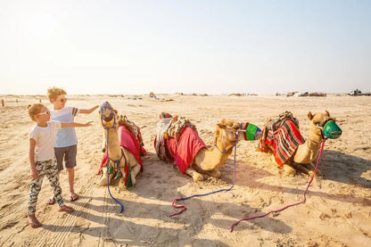 Doha: 4x4 Half-Day Desert Safari, Camel Ride, Sandboarding and Inland Sea Tour
