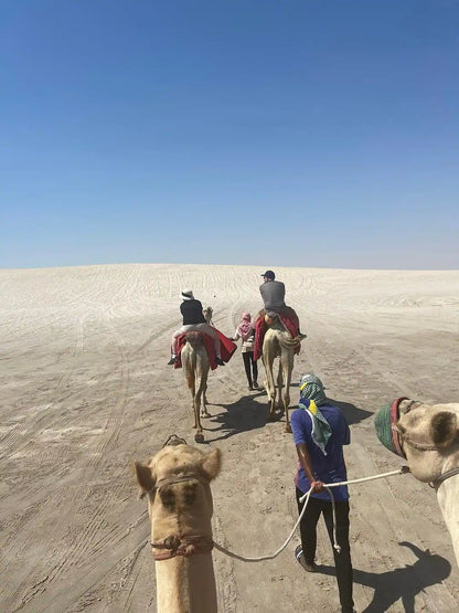 Doha: 4x4 Half-Day Desert Safari, Camel Ride, Sandboarding and Inland Sea Tour