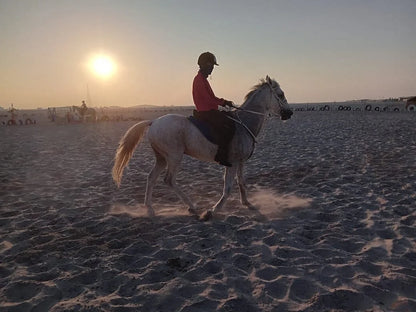 Doha: 4x4 Half-Day Private Desert Safari, Camel Ride, and Arabian Horse Ride