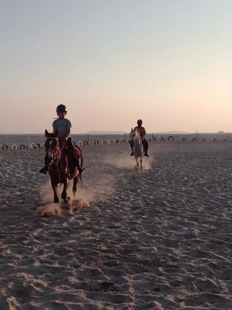 Doha: 4x4 Half-Day Private Desert Safari, Camel Ride, and Arabian Horse Ride