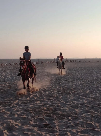 Doha: 4x4 Half-Day Private Desert Safari, Camel Ride, and Arabian Horse Ride