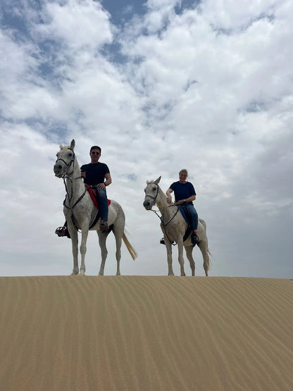 Doha: 4x4 Half-Day Private Desert Safari, Camel Ride, and Arabian Horse Ride