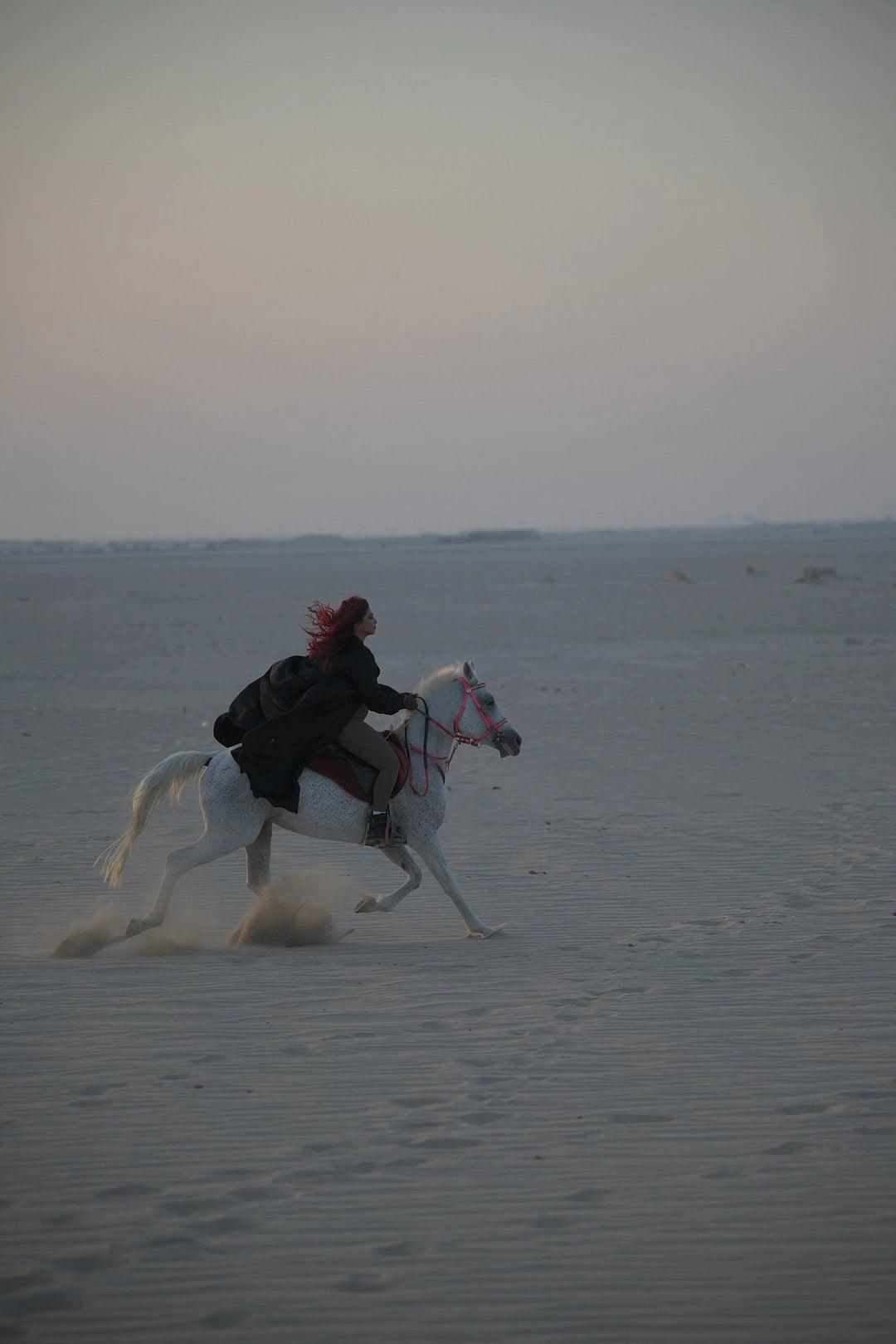 Doha: 4x4 Half-Day Private Desert Safari, Camel Ride, and Arabian Horse Ride