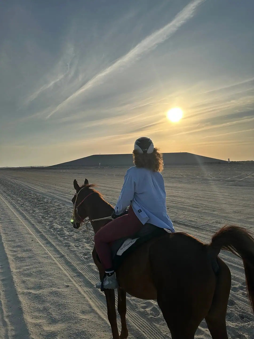 Doha: 4x4 Half-Day Private Desert Safari, Camel Ride, and Arabian Horse Ride