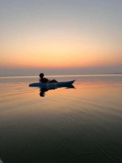 Doha: Passeio de caiaque nos manguezais de Al Thakira e vida selvagem